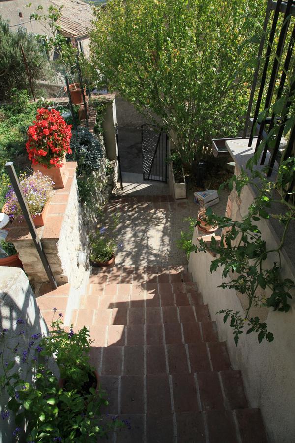 B&B Porchiano Del Monte Amelia Εξωτερικό φωτογραφία