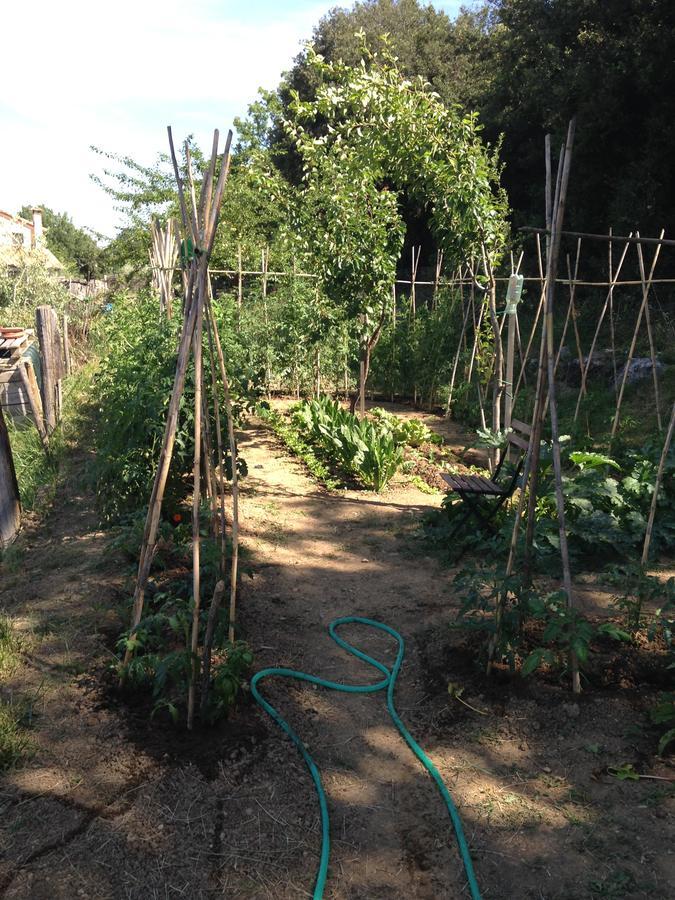 B&B Porchiano Del Monte Amelia Εξωτερικό φωτογραφία